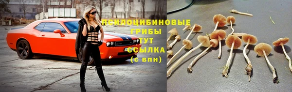 ECSTASY Балахна