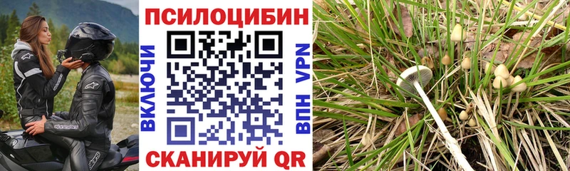 Псилоцибиновые грибы мицелий  Барыш 